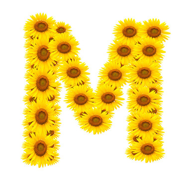 向日葵；字母表