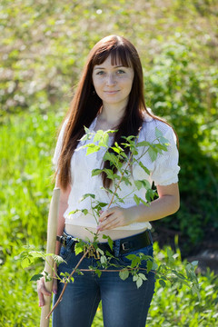 女人種植栗