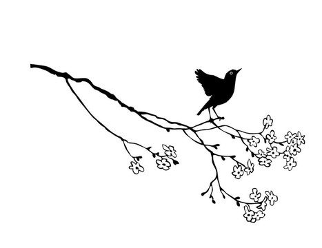 白色背景上樹枝上的鳥