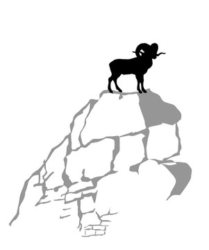白色背景上的山公羊剪影；插圖