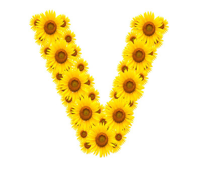 向日葵；字母V