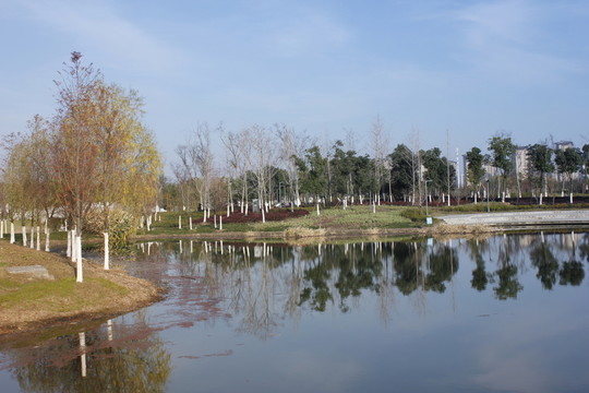 別樣公園風(fēng)貌