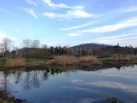 別樣公園風(fēng)貌