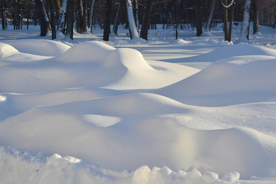 冬天的雪