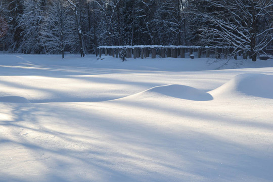 冬天的雪