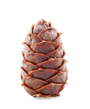 松子球