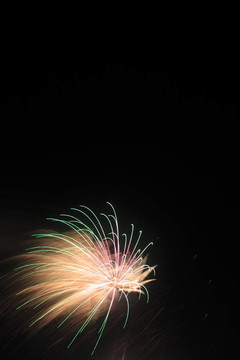 夜空中的煙花