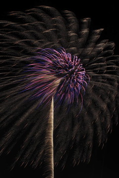 夜空中的煙花