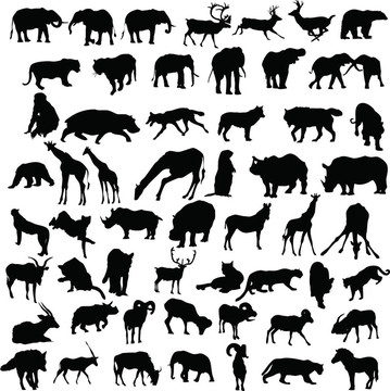野生動物