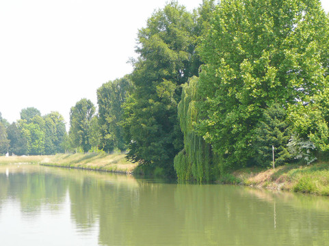 Padua；意大利