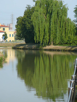 Padua；意大利