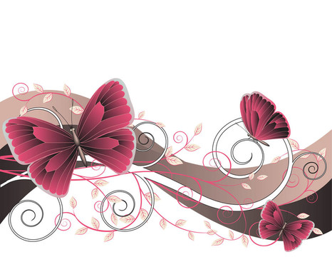 蝴蝶花插圖