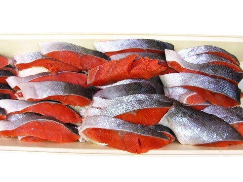 鮮魚肉