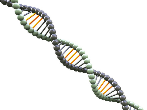 DNA