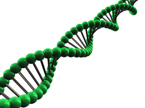 三維DNA