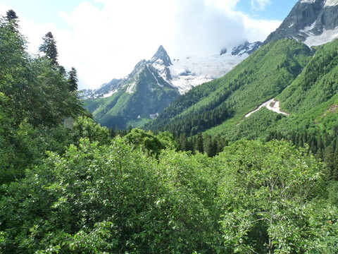 高加索山脈的高山草甸