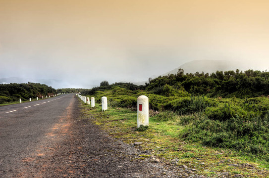 在自然公園de Madeira普拉托路；馬德拉群島島；葡萄牙