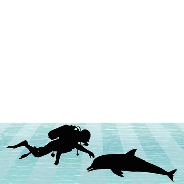 海豚和人