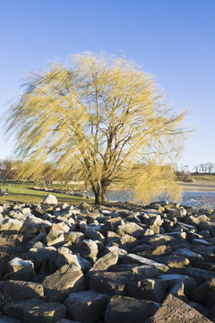 水岸公園