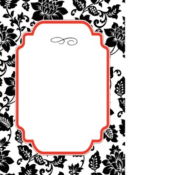 向量框架和模式