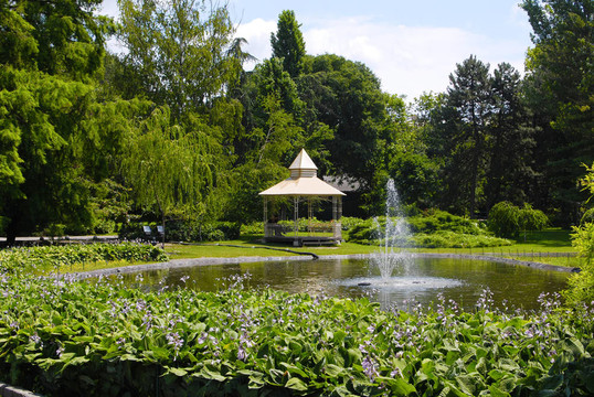 夏天的公園場景