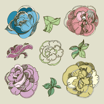 月季花