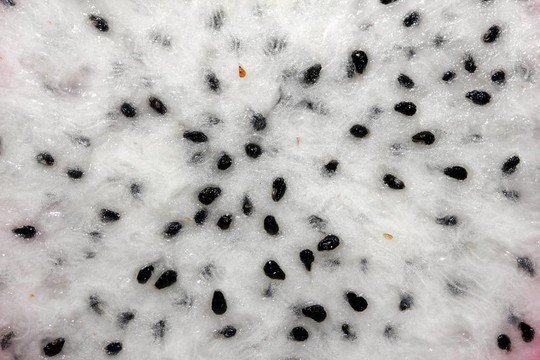 的fruitflesh紋理