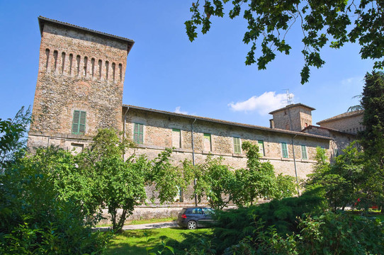 panocchia城堡。Emilia Romagna。意大利.