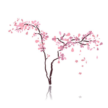 櫻桃樹