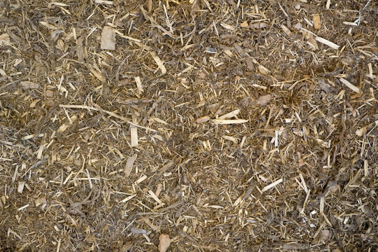 樹皮覆蓋