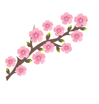 櫻花