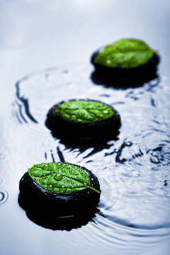 藍(lán)色的石頭和樹(shù)葉