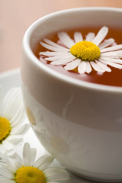 白杯草藥茶和洋甘菊花