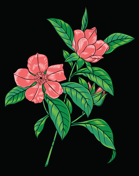 粉紅色的花枝