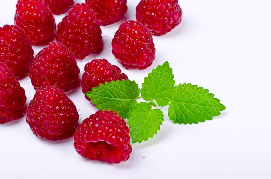 覆盆子（Rubus idaeus）