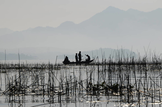 在hoduras約華湖