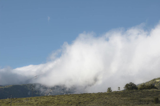 山