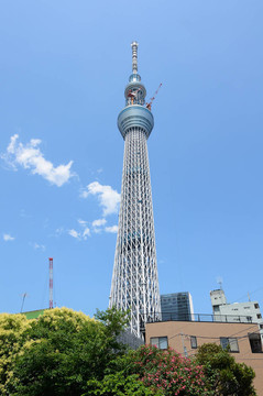 東京天空樹