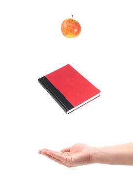 學(xué)校的書