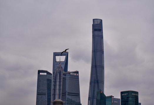 上海外灘 （34）