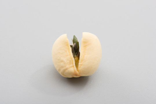 蓮子蓮心特寫