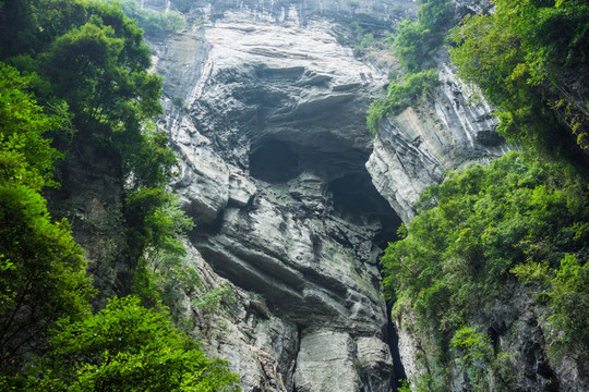 武隆天坑黑猩猩景點(diǎn)