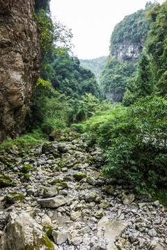 武隆天坑羊水河峽谷