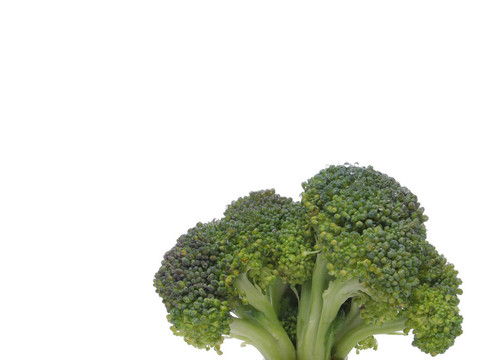 西蘭花特寫看起來像一棵樹