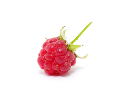 覆盆子