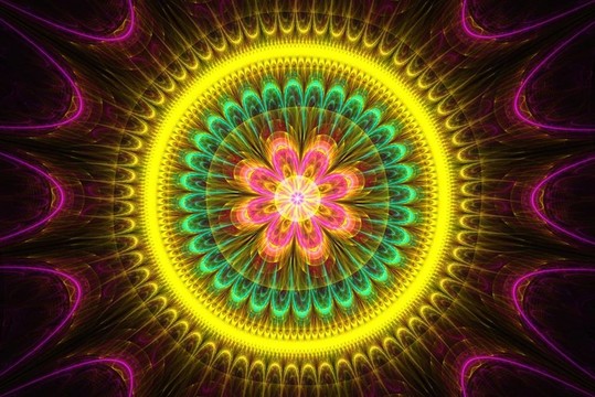 花曼陀羅