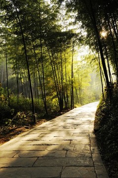 通路