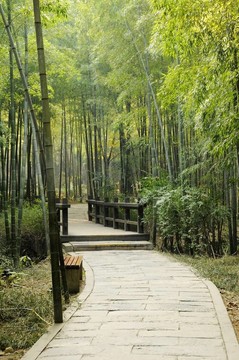 通路