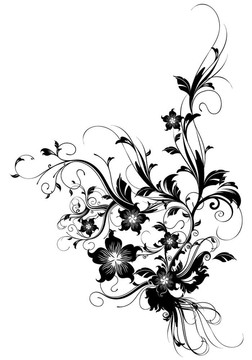 花的