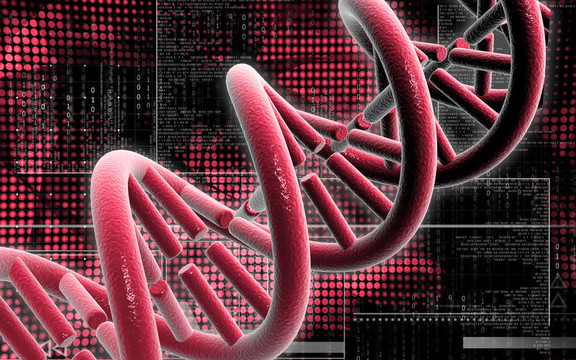 DNA